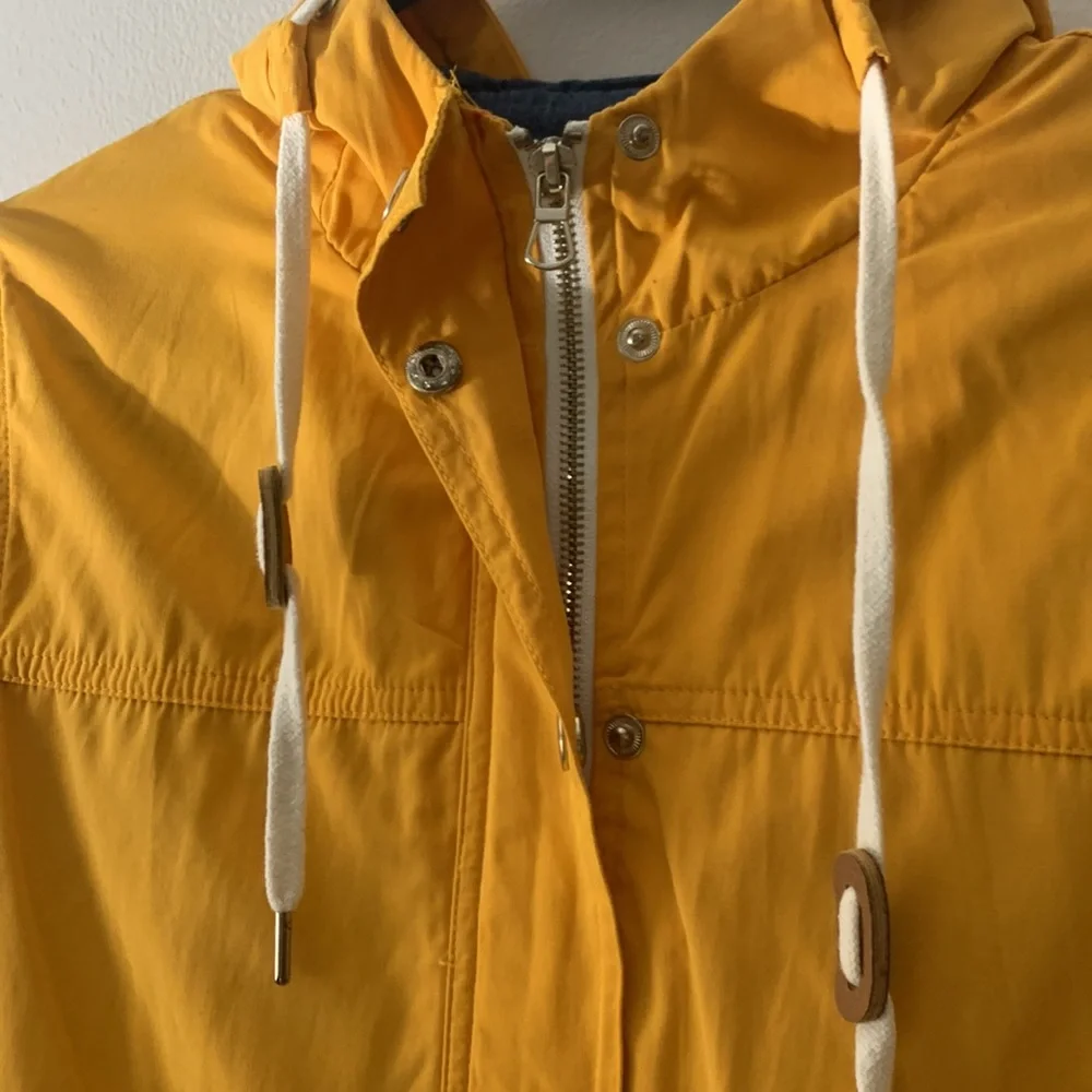 Yellow jacket - Picture 2 of 5